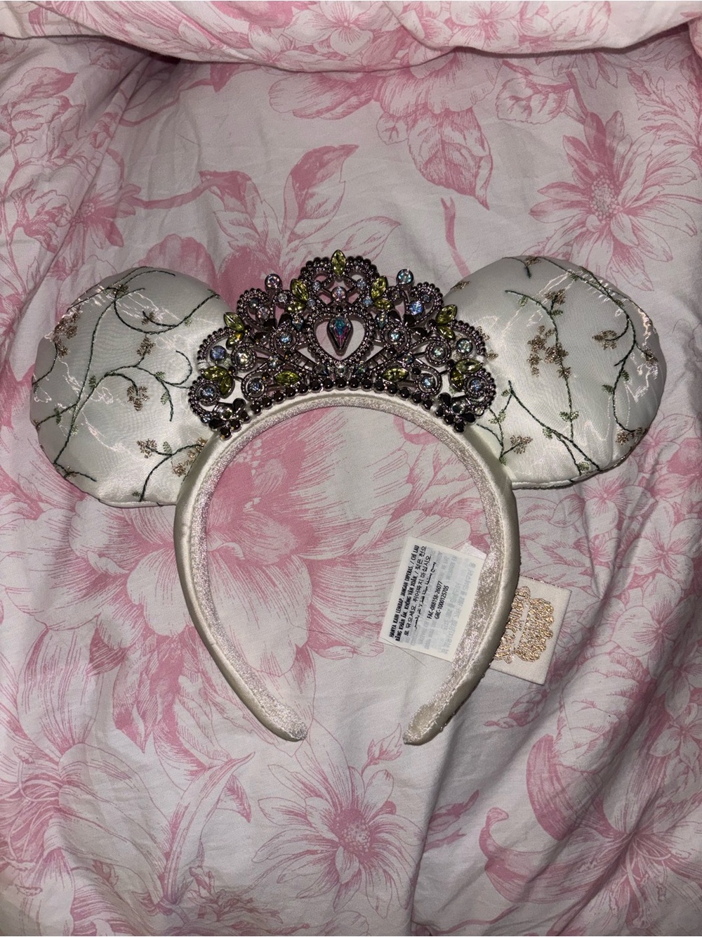 Princess Diary Ears